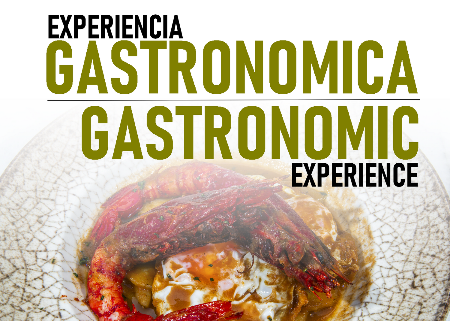 EXPERIENCIA GASTRONOMICA